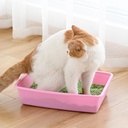 Simple Cat litter box