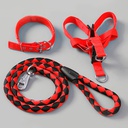 Amorc Dog Collar, Leash and Harness Set (Extra Large)