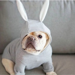 Bunny Dog Shirt (Hooded) Large