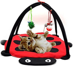 Cat Play Mat (hanging toy)
