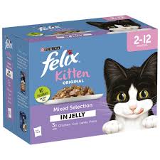 Felix Adult wet food  (12x100g)
