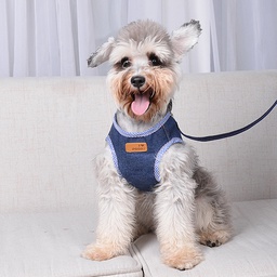 I love Pet Jeans Harness and Leash (Large)