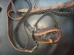 Faux Leather Adjustable Collar & Leash (Large)