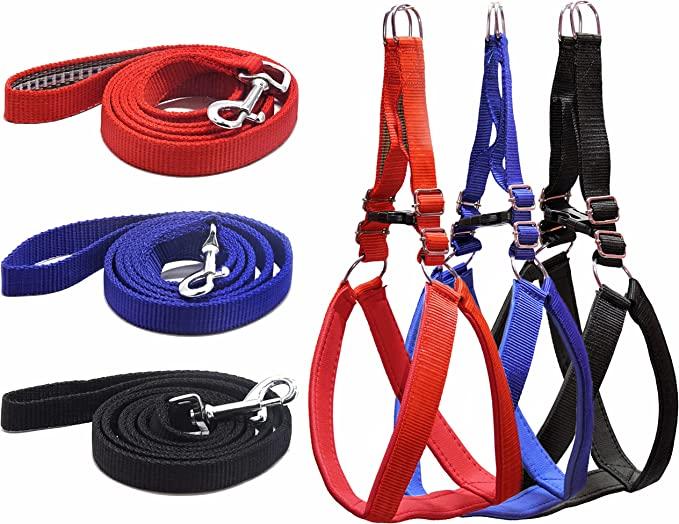 Padded Leash and Harness Set (Large)