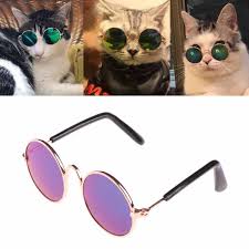 Pet  Eye Glasses