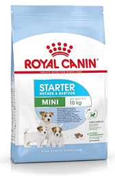 Royal Canin Mini Starter (4Kg )
