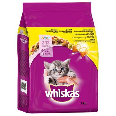 Whiskas Kitten Dry Food 1.9 Kg (Chicken)