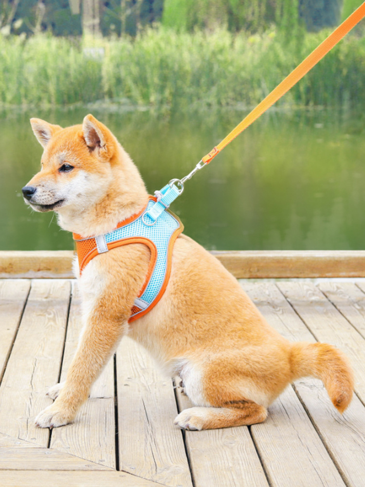 Breatheable Pet Chest Strap Harness Large