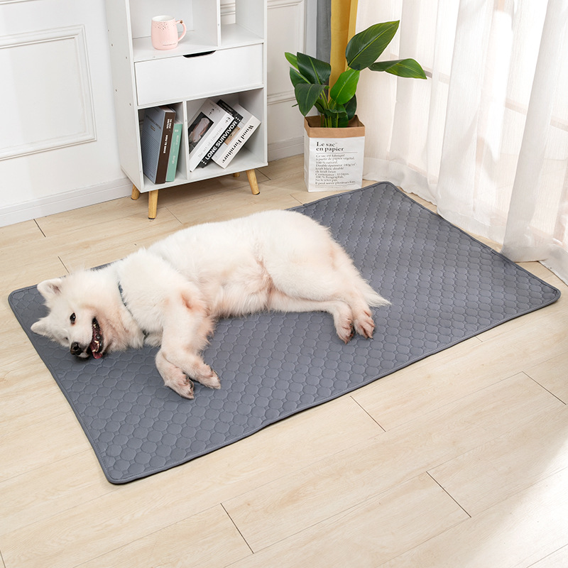 Pet Absorbable Training Mat  Large (70 by 50cm)