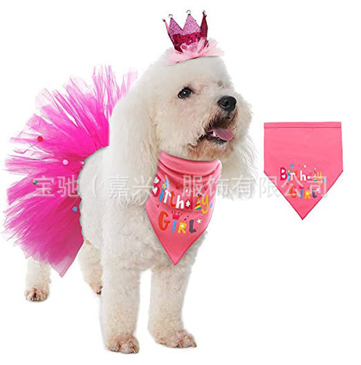 Pet Birthday Girl Party outfit
