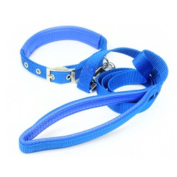 Padded Collar and Leash Set