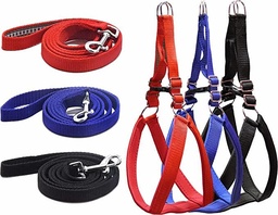 Padded Leash and Harness Set (Small)