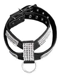 Studded Harness (Large)