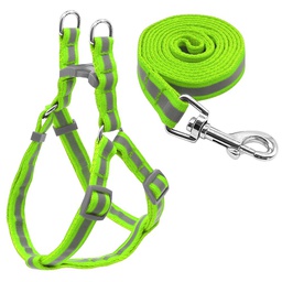 Truthmiles Reflective Harness and Lead